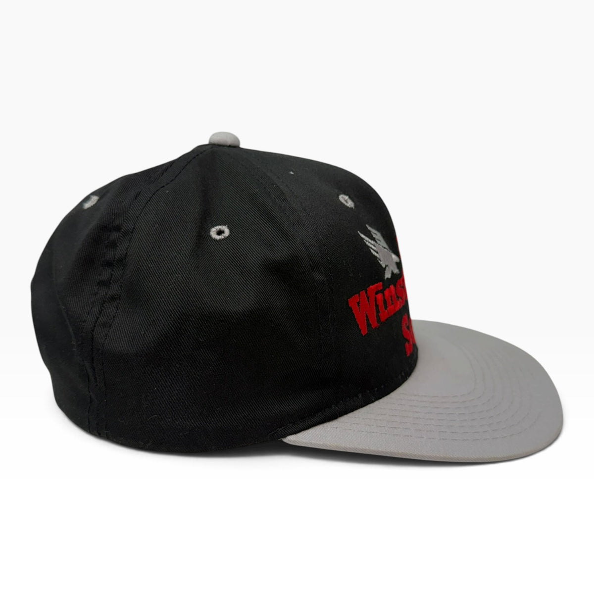 Winston Cup Series Snapback