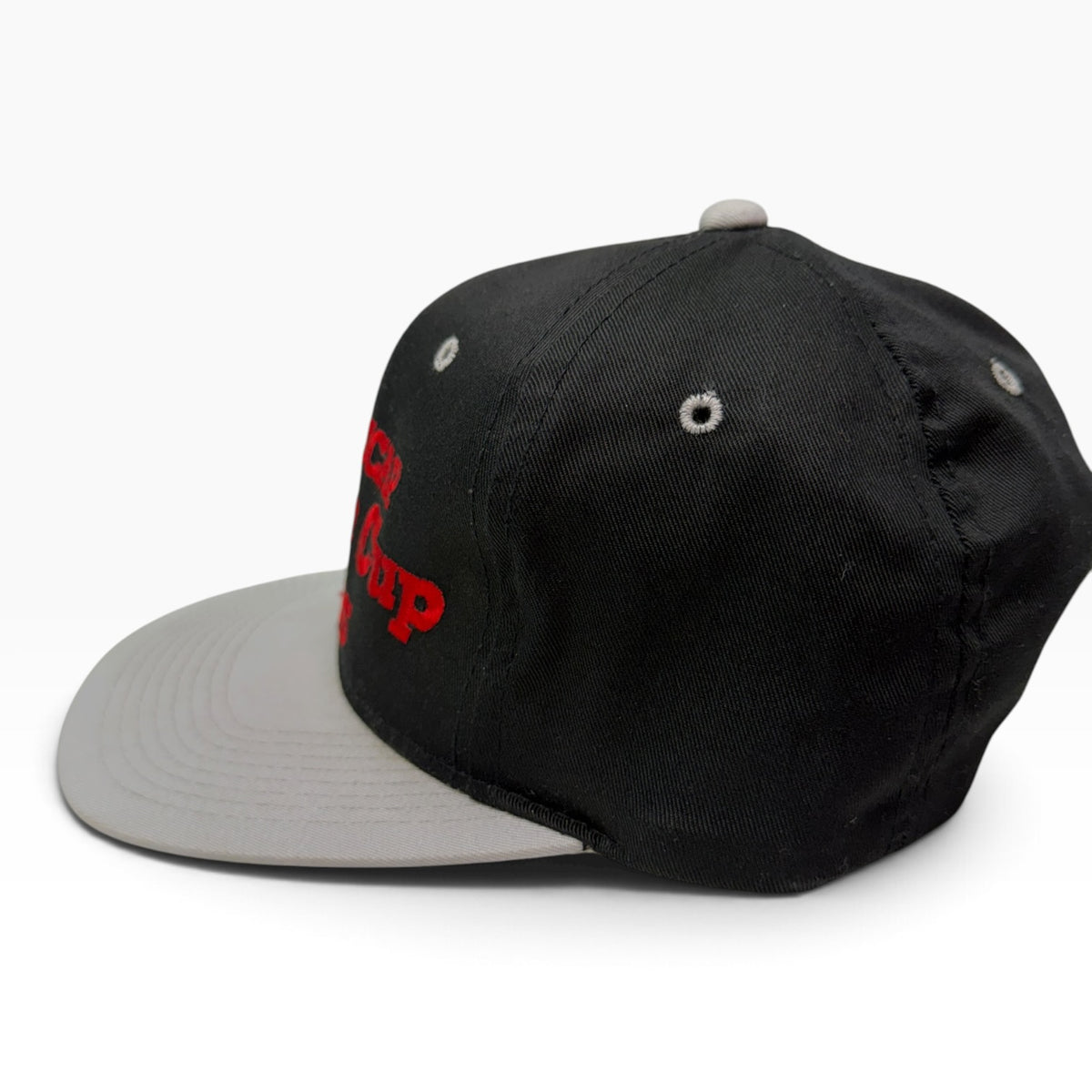 Winston Cup Series Snapback
